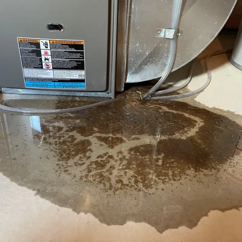 Appliance Leak Cleanup in Cambria, CA